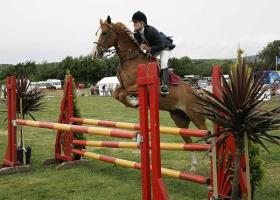 Bridgend County Show